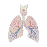 Understanding Bronchial Asthma